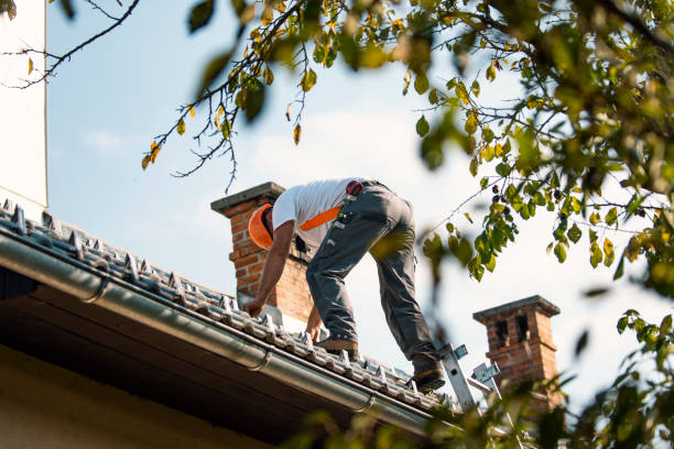 Best Roof Gutter Cleaning  in Mechanicsburg, OH